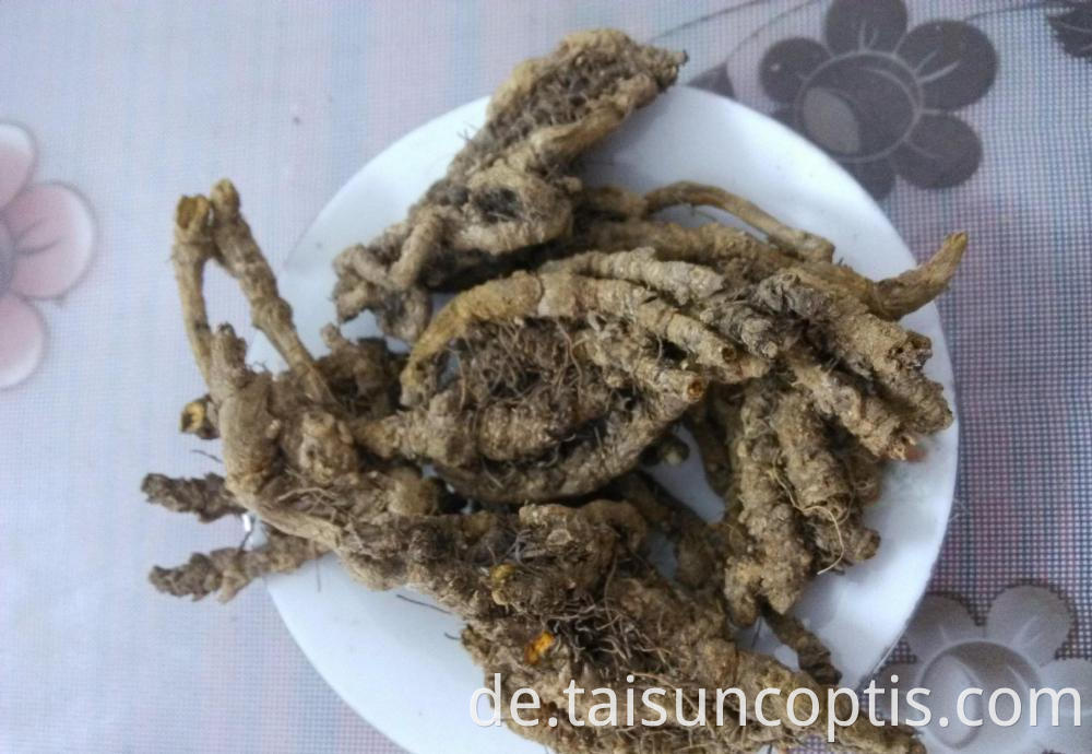 Rare Chinese Herbal Medicine Coptis